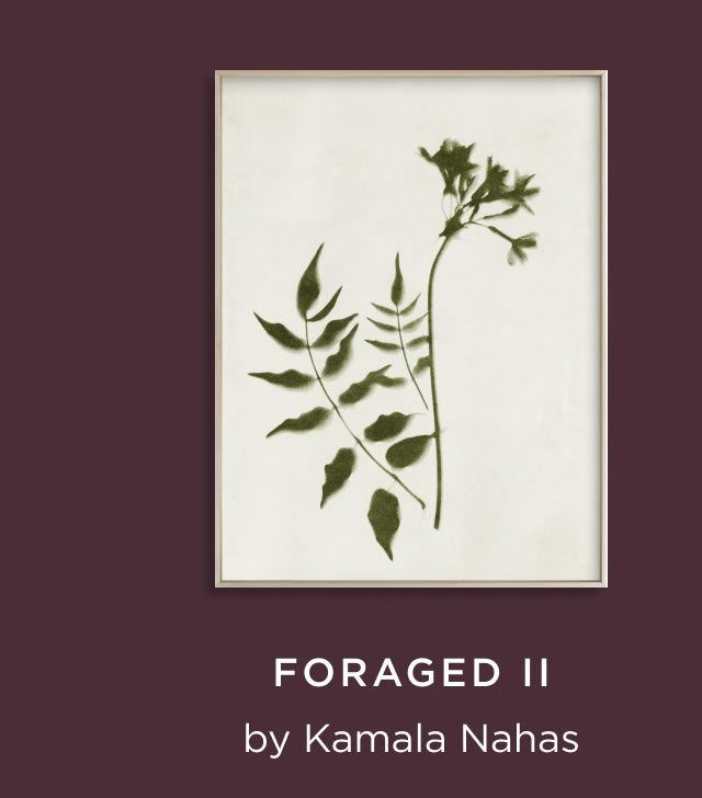 Foraged II