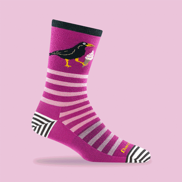 Shop NEW Animal Haus socks - Happy National Sock Day