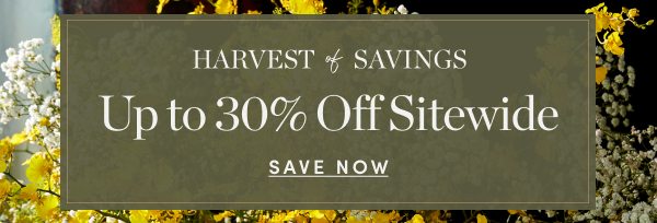 Up to 30 Percent Off Sitewide