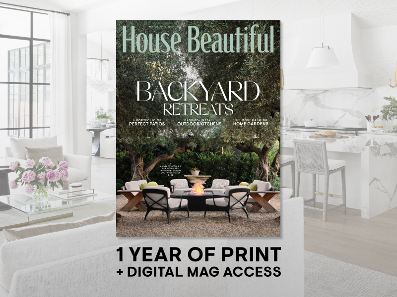 1 year of print plus digital mag access