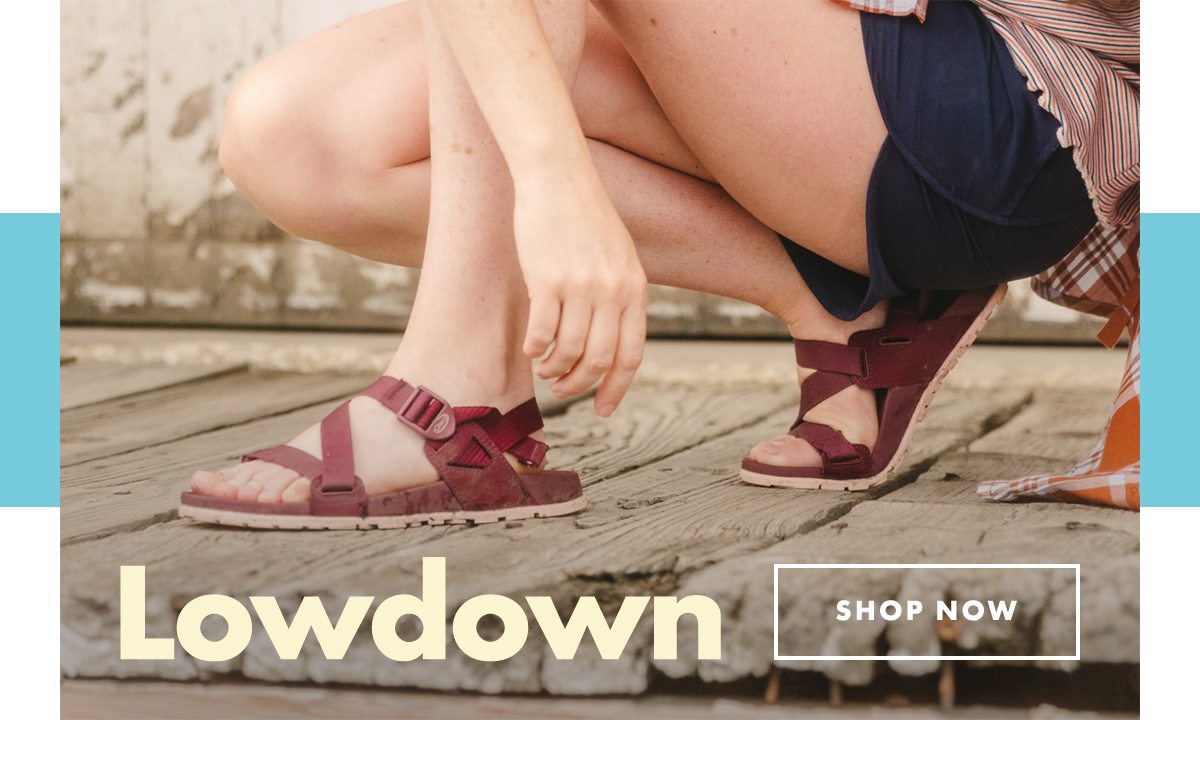 Lowdown Shop Now