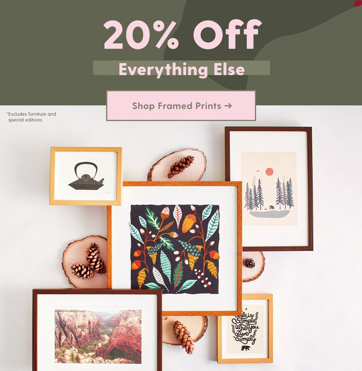 20% Off Everything Else