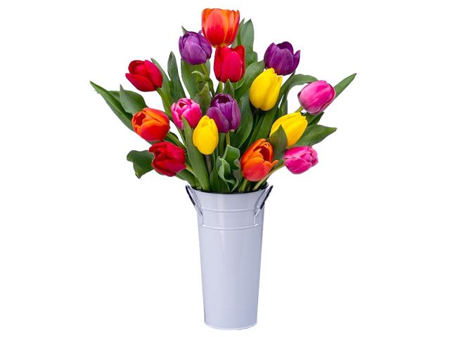 15 Rainbow Tulips with Vase