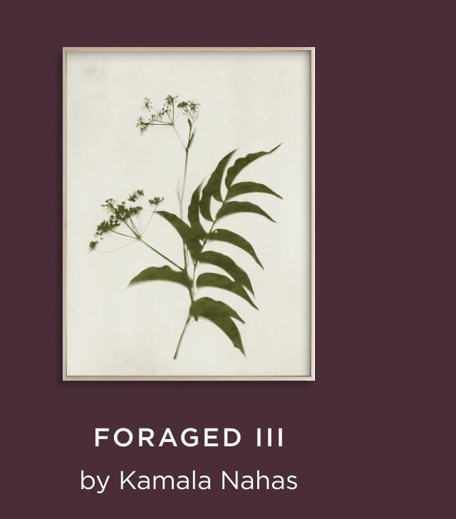 Foraged III