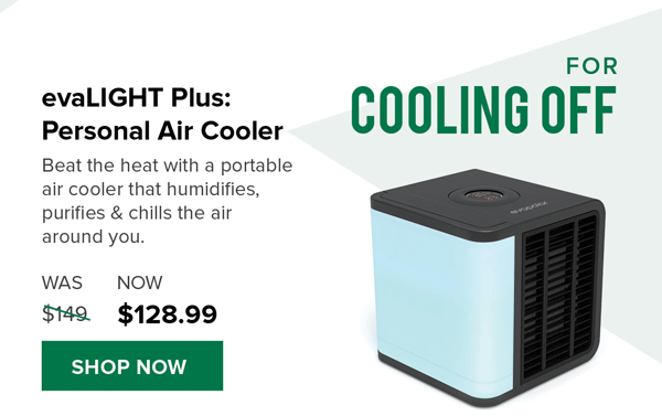 Personal Air Cooler | shop now