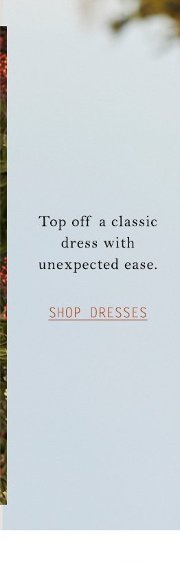 Shop dresses.