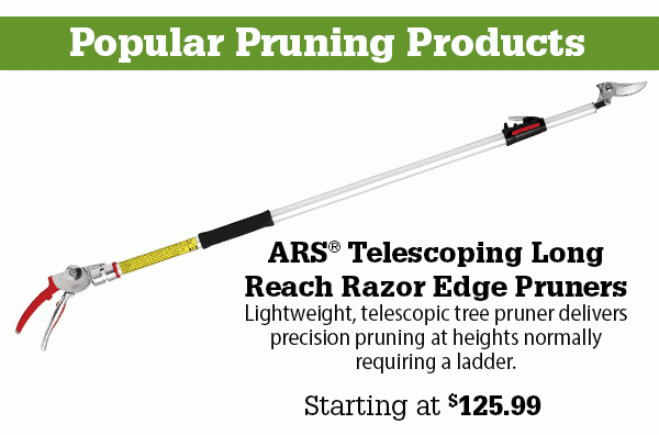 ARS® Telescoping Long Reach Razor Edge Pruners