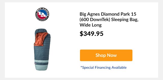 Big Agnes Diamond Park 15 (600 DownTek) Sleeping Bag
