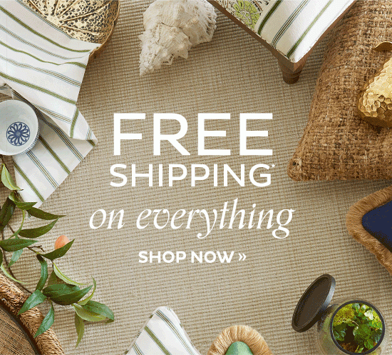 Free Shipping on Everything*