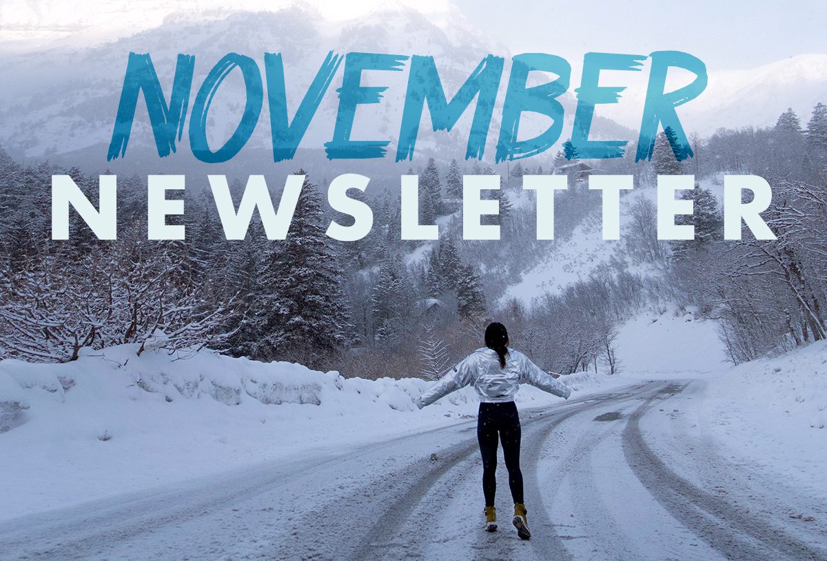 NOVEMBER NEWSLETTER