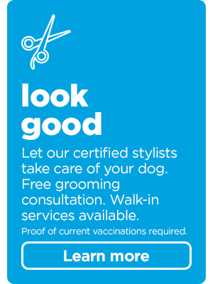 Let our certified stylists take care of your dog. Learn more > 