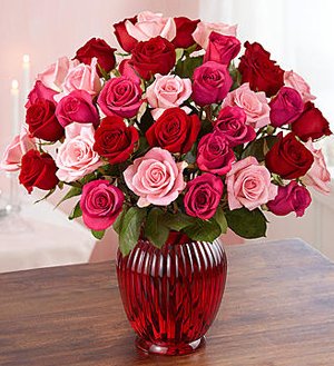 Enchanted Rose Medley SHOP NOW 