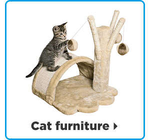 Cat furniture >