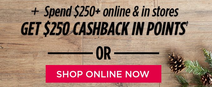 + Spend $250+ online & in stores GET $250 CASHBACK IN POINTS† - OR - SHOP ONLINE NOW