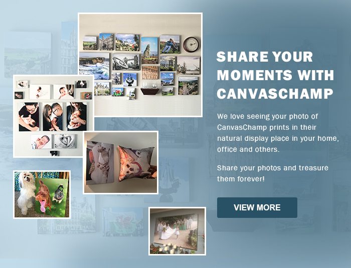 SHARE YOUR MOMENTS WITH CANVASCHAMP