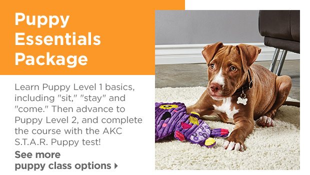 Puppy Essentials Package. Learn Puppy Level 1 basics, including "sit", "stay" and "come." Then advance to Puppy Level 2, and complete the course with the AKC S.T.A.R. Puppy test! See more puppy class options.