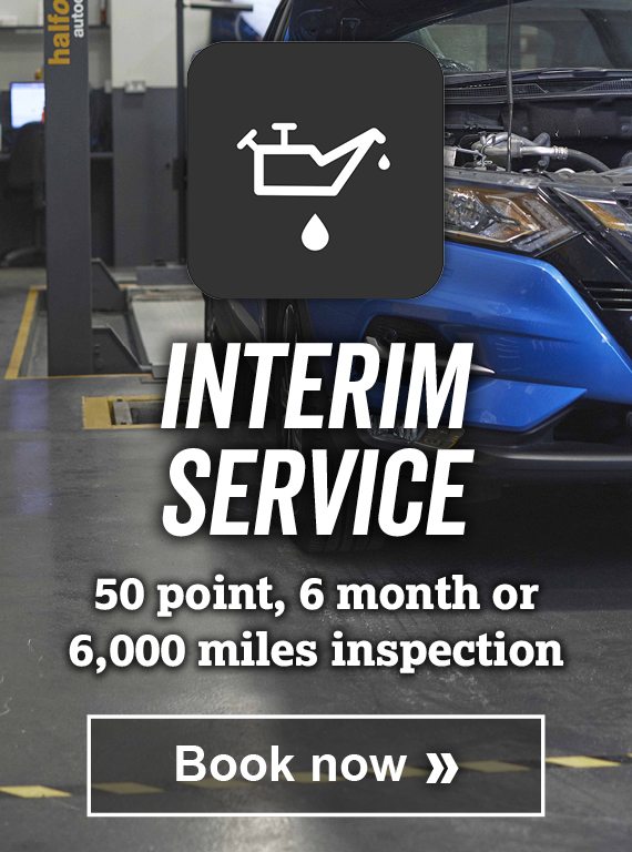 INTERIM SERVICE