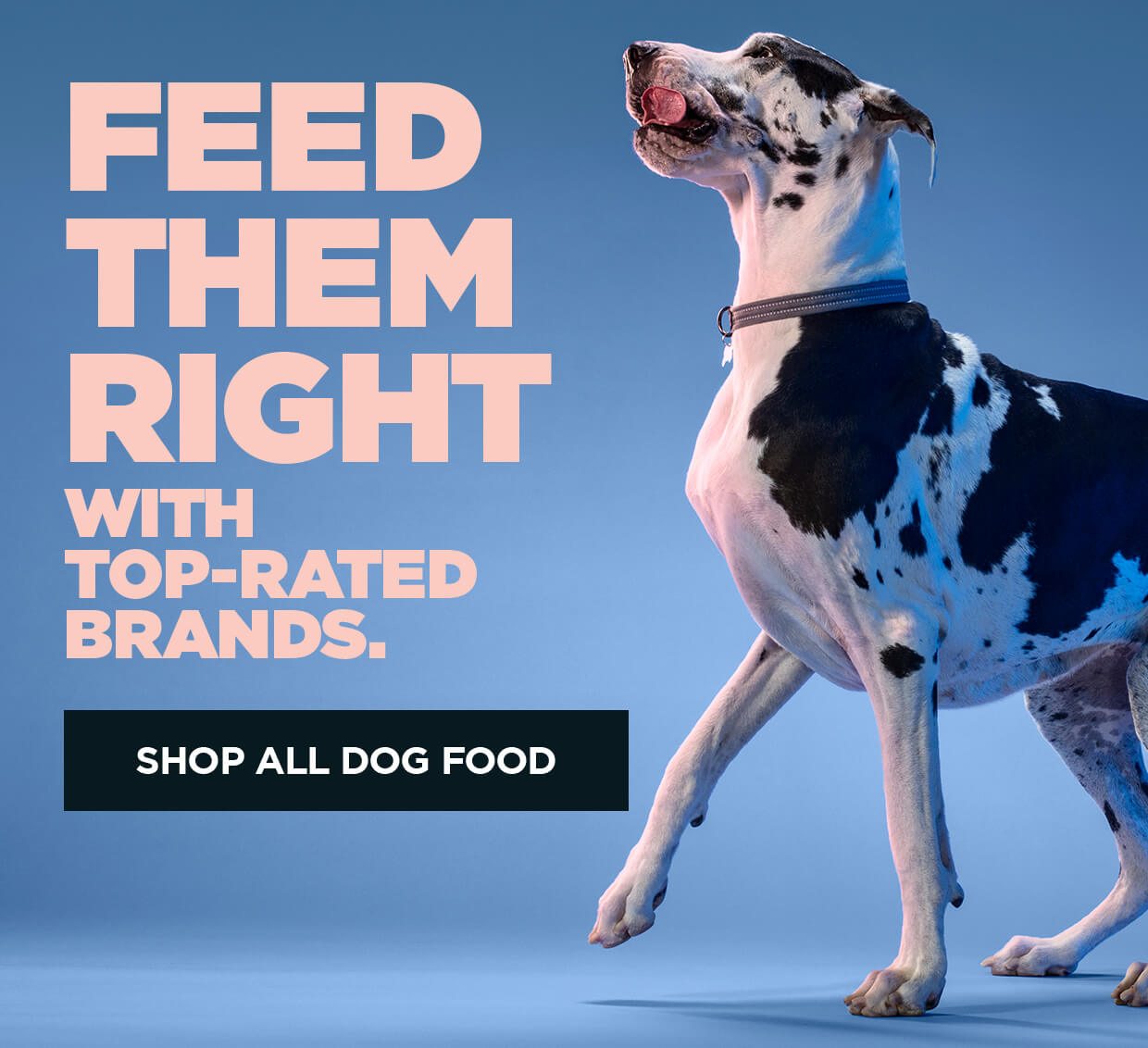 Feed them right with top-rated brands. Shop all Dog food.