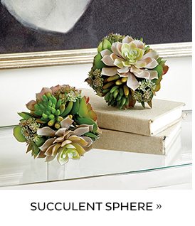 Succulent Sphere