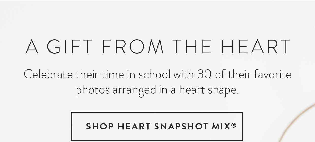 Shop Heart Snapshot Mix 