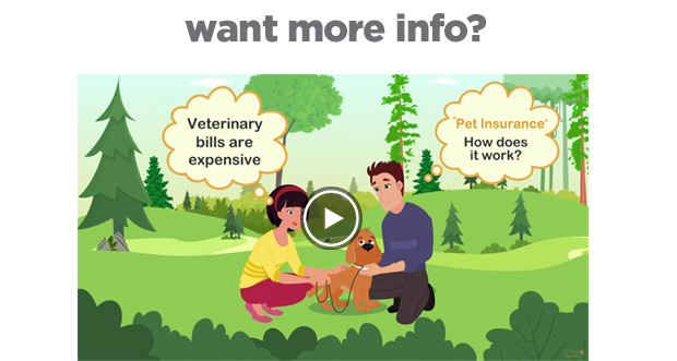 Want nore info? Watch the video?