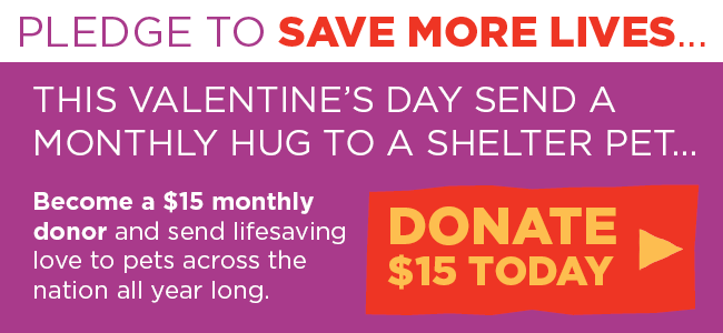 Pledge to save more lives
