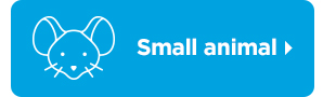 Shop small animal >