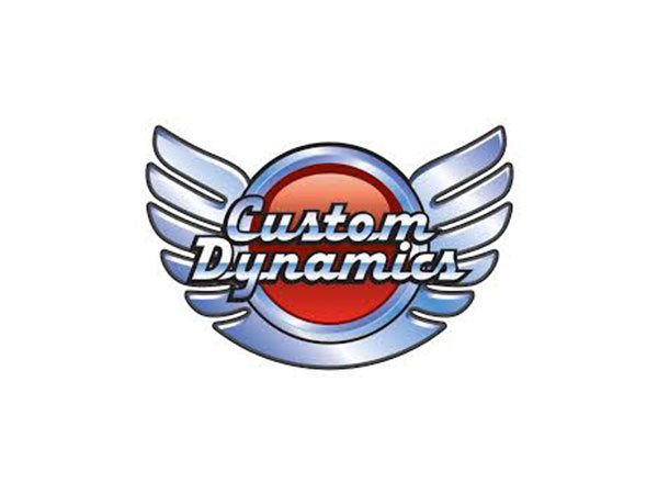 CustomDynamics