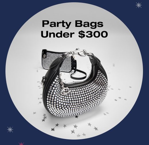 PARTY BAGS UNDER $300