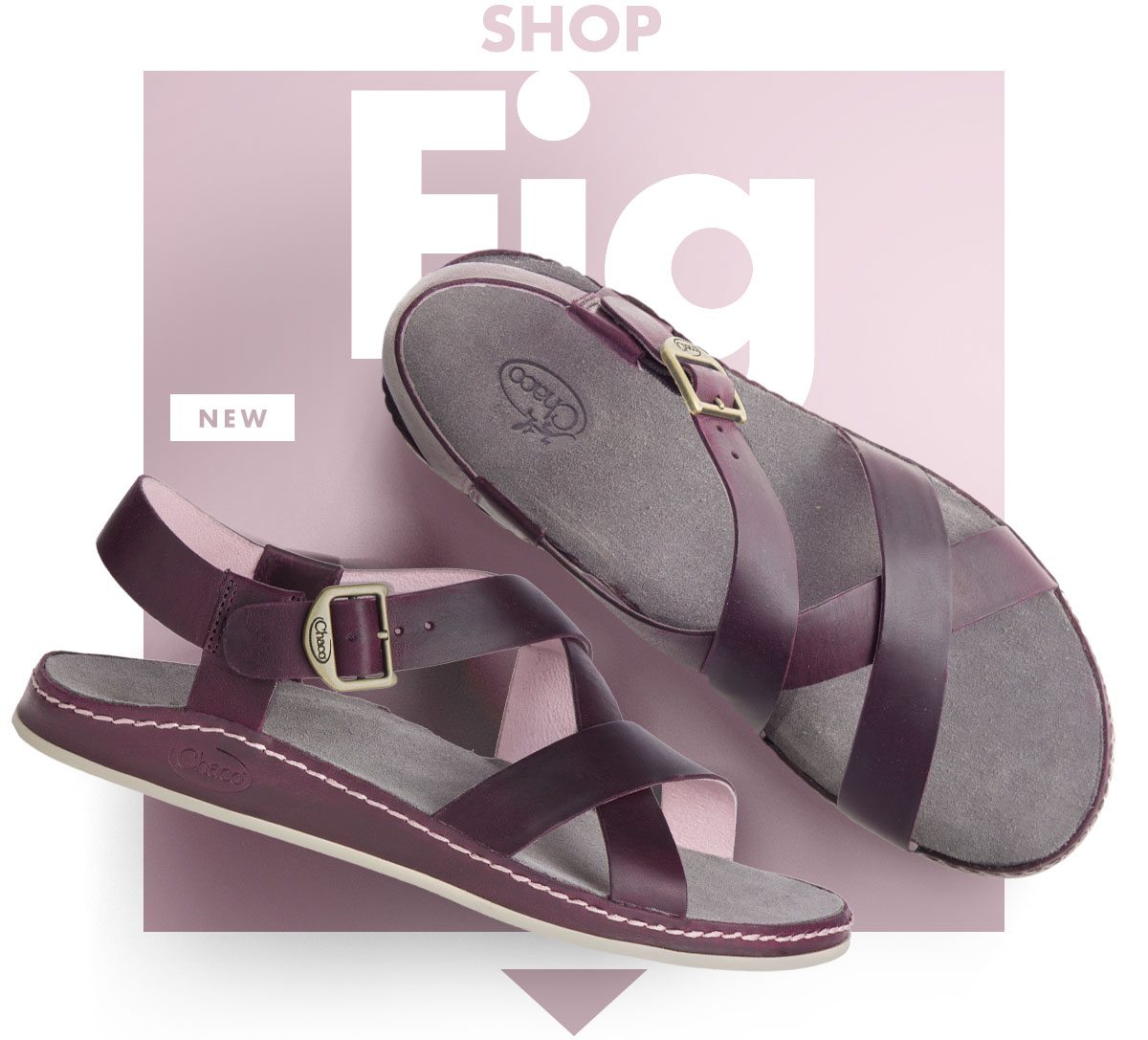 SHOP WAYFARER FIG