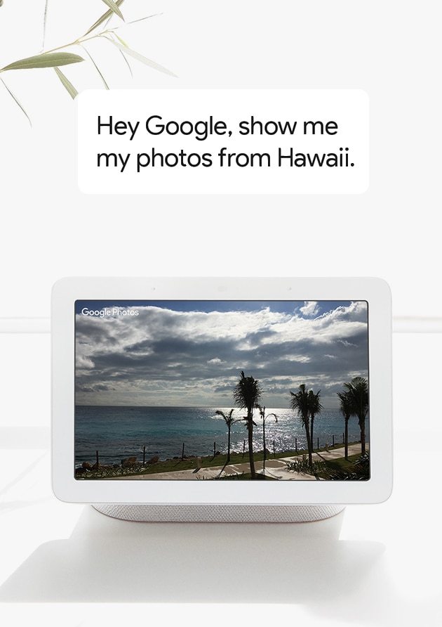 NEW! Google Home Hub