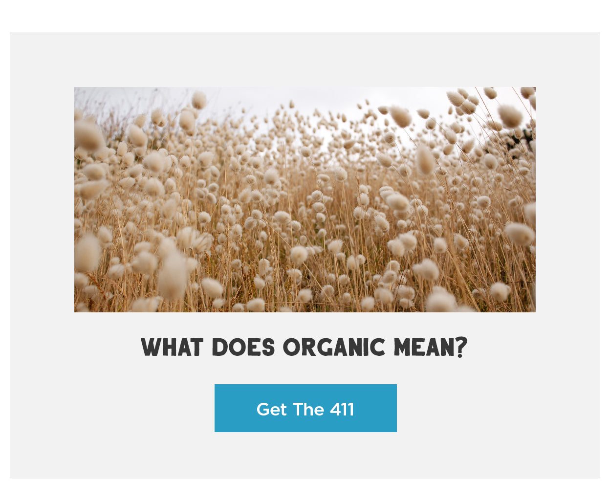 What Does Organic Mean?
