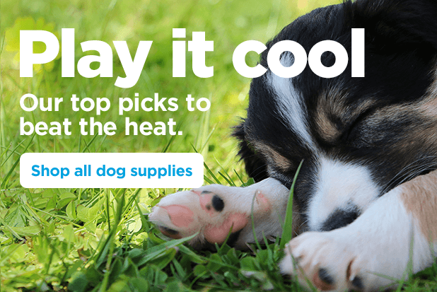 Play it cool. Our top picks to beat the heat. Shop all dog supplies.