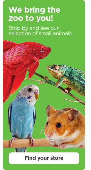 We bring the zoo to you! Stop by and see our selection of small animals. Find your store.