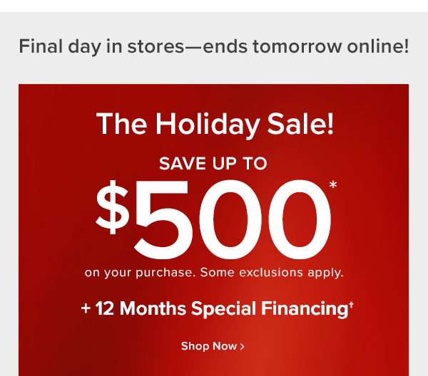 Final day in stores-ends tomorrow online! the holiday sale save up to $500 off on your purchase. Some exclusions apply. +12 months special financing shop now