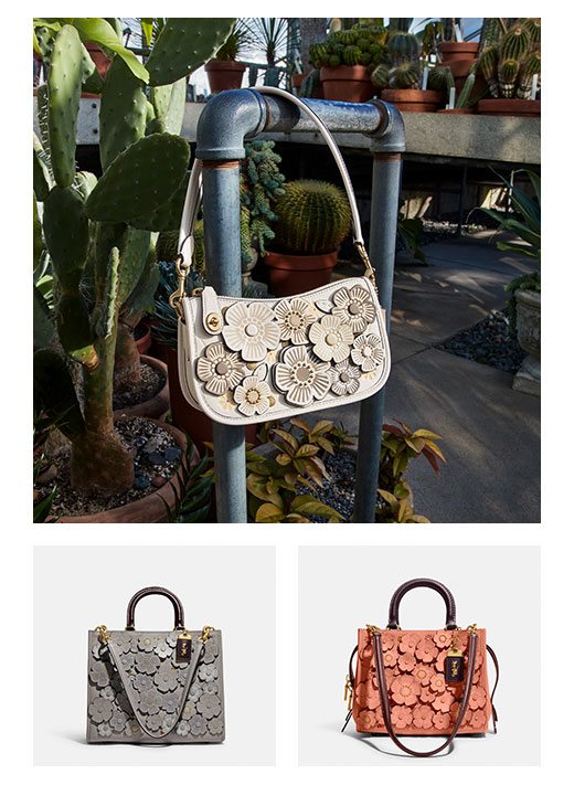 Shop the Tea Rose