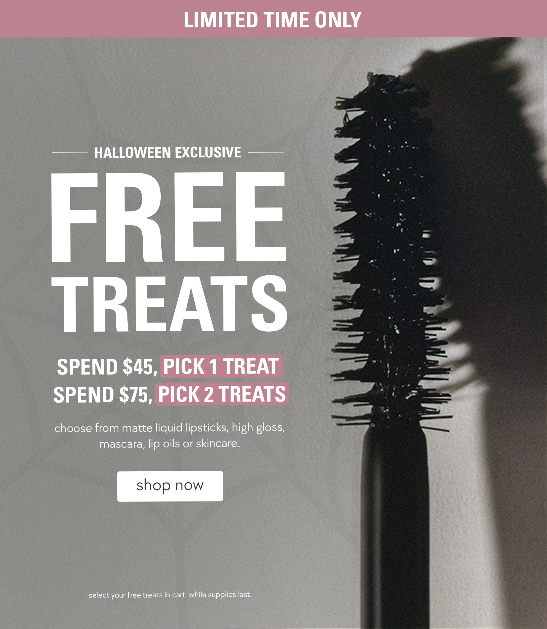 free treats! spend $45, pick 1 treat. spend $75, pick 2 treats.