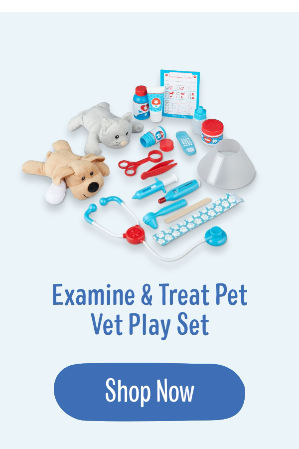 Vet Play Set