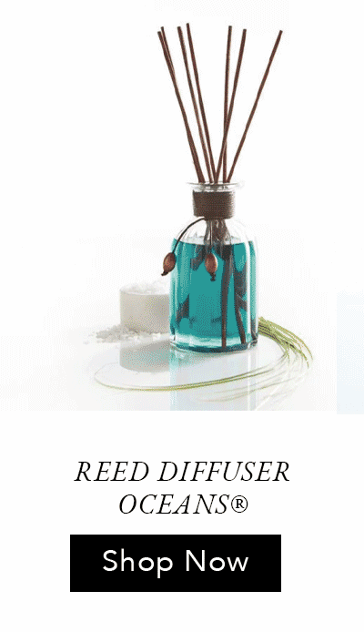 Pier 1 Reed Diffuser Oceans® 10oz