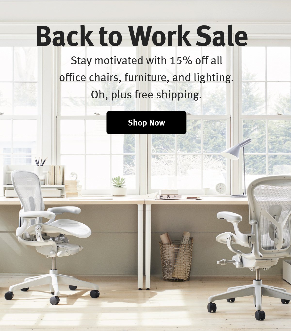 Back to Work Sale