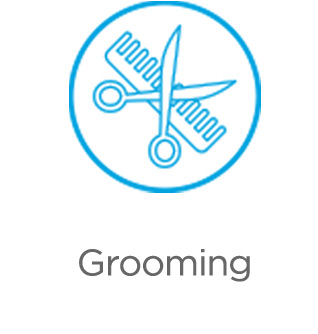 Grooming.