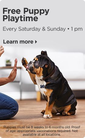 Free Puppy Playtime. Every Saturday & Sunday • 1 pm. Learn more. Puppies must be 8 weeks to 6 months old. Proof of age-appropriate vaccinations required. Not available at all locations.