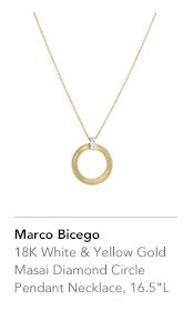 MARCO BICEGO