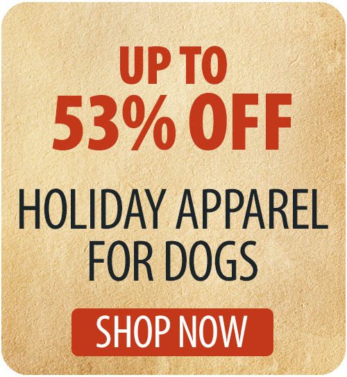 Holiday Apparel for Dogs