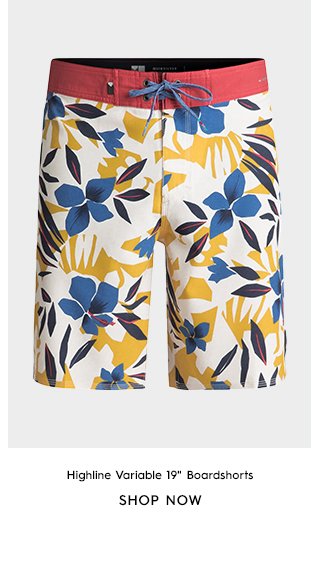 Product 4 - Highline Variable 19 In Boardshorts