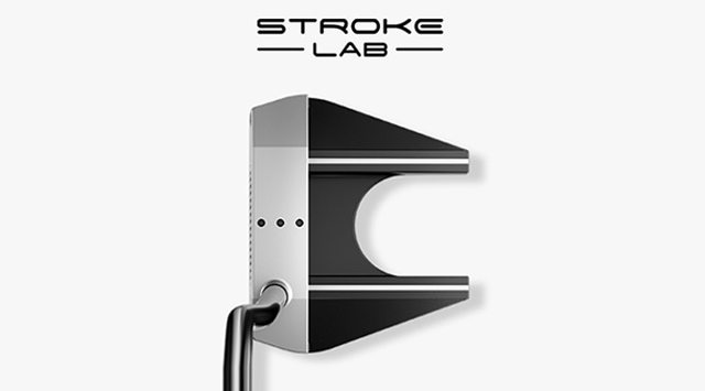 Stroke Lab Seven