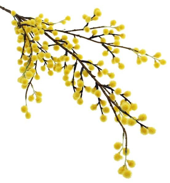 Yellow Mimosa Spray