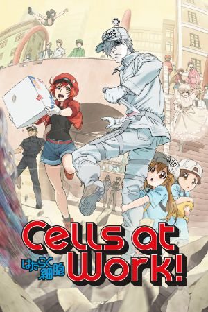 Cells at Work