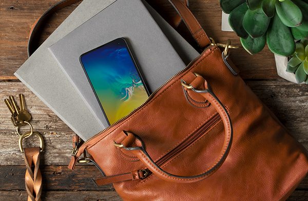 Belkin Screen Protector with stylish leather bag