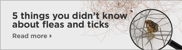 5 things you didn’t know about fleas and ticks. Read more.